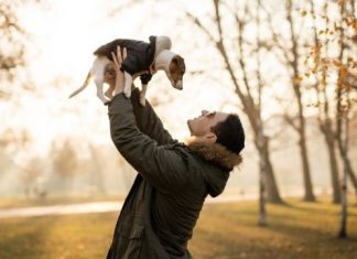 Qual a expectativa de vida de 19 raças de cães