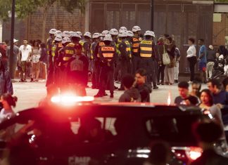 Após arrastões na Virada Cultural, polícia e GCM detêm 48 suspeitos e apreendem 51 celulares; 5 frequentadores são esfaqueados