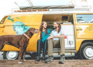 Bichos na Escuta #52: conheça Vivi, a cachorra que viaja o mundo em uma kombi