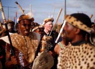 Novo rei zulu é reconhecido na África do Sul; coroação é a primeira em mais de 50 anos, veja fotos