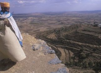 Hienas se alimentam de corpos de vítimas em guerra civil na Etiópia