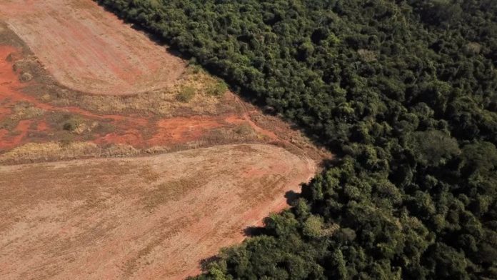 nos-ultimos-tres-anos-o-brasil-registrou-o-pior-desmatamento-em-15-anos-o-maior-numero-de-focos-de-incendios-em-10-anos-e-a-maior-taxa-de-emissao-de-gases-poluentes-em-16-anos.