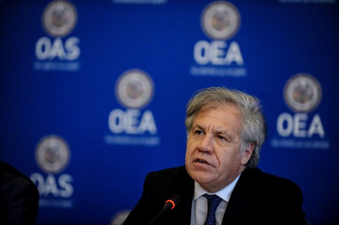 oea1