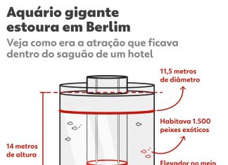 Elevador subaquático e ‘prisão’ para peixes: veja as polêmicas aquário gigante que estourou em Berlim
