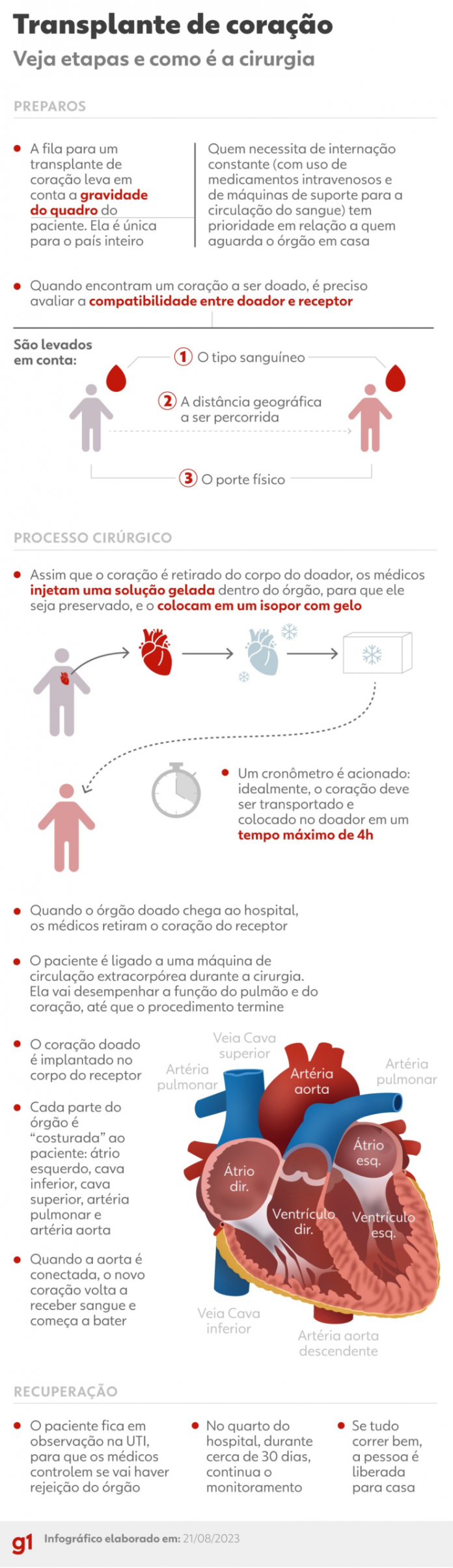 2108-transplante-coracao-scaled