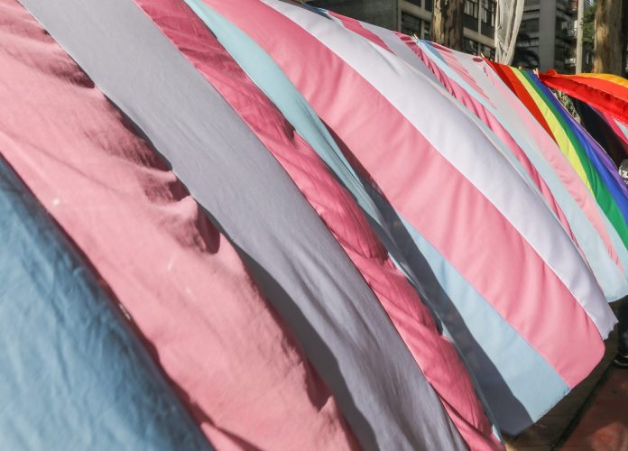 bandeira-trans-celso-tavares-g1-3-de-22-scaled