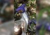 Comerciante desaparecido após sair para pescar é encontrado morto dentro de fossa no TO, dizem bombeiros