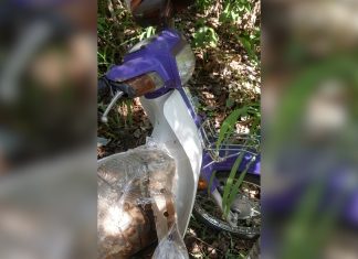 Comerciante desaparecido após sair para pescar é encontrado morto dentro de fossa no TO, dizem bombeiros