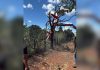 Saiba qual é o modelo e quanto vale o helicóptero de Henrique e Juliano que caiu em fazenda no Tocantins
