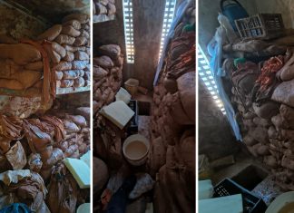 Três presos são suspeitos de cavar túnel em presídio no Tocantins; investigação apura entrada de materiais