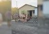 Homem morre após cair em buraco de fossa aberta no interior do Tocantins