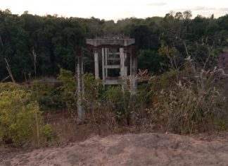 Ponte abandonada no meio de mata começou a ser construída há 20 anos no TO