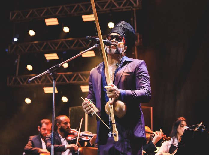 brown-e-orquestra-creditos-lucas-leawry-5