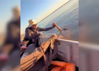 Pescador detalha momento do resgate de homem no lago de Palmas: ‘Um dos braços para fora da água’