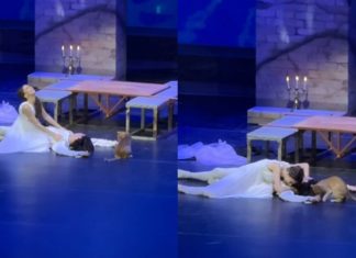Gato invade palco e rouba a cena durante apresentação de Romeu e Julieta na Turquia