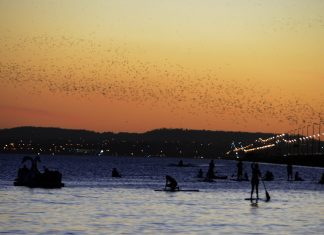 Temperatura pode chegar a 37°C em Palmas ao longo da semana