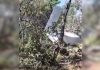 Aeronave de pequeno porte cai na zona rural de Palmas