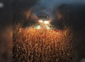 Produtores do Tocantins fazem colheita à noite para evitar risco de incêndios