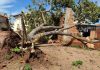 Após sete meses, prefeitura faz contrato emergencial sem licitação para recuperar casas atingidas por temporal em Palmas