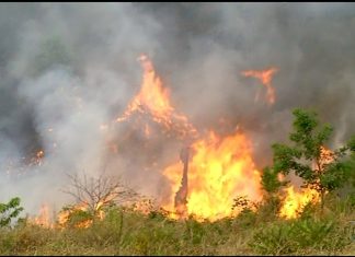 Tocantins suspende queimas controladas sob risco crítico de incêndios; veja o que muda