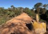 Ponte da TO-487 entre Taguatinga e Taipas será interditada; veja rotas alternativas