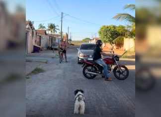 Influenciador faz manobra para estacionar moto, para o trânsito e diverte a web: ‘Parece que tá manobrando carreta’