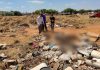 Corpo esquartejado é encontrado dentro de sacos em área verde na região sul de Palmas