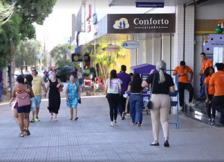 Palmas e Araguaína transferem feriado do dia 5 de outubro; veja como ficam os serviços