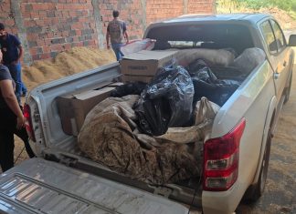 Mais de 100 kg de drogas são incinerados no Tocantins após operação contra o tráfico