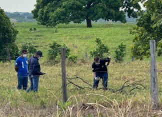 Corpo em decomposição é encontrado às margens da TO-336