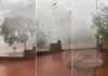 Vídeo mostra ventania derrubando árvores; moradora se assusta: ‘Meu Deus do céu’